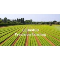Lebameb Farm Services logo - Similar company to Irohbest Mill & Farm Company Ltd