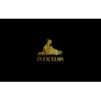 InExcelsis logo - Similar company to Acomtic