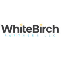 White Birch Partners Llc (Formerly The Levy Group, Inc.)