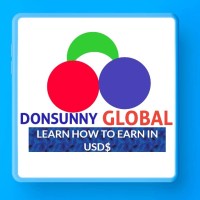 Donsunnyglobal logo - Similar company to Condor Academy