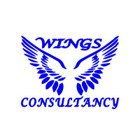Wings Consultancy logo - Similar company to Ripe Studios