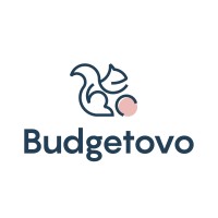 Budgetovo logo - Similar company to Amithena