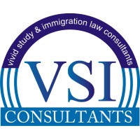 VSI Consultants logo - Similar company to Interwebbytes