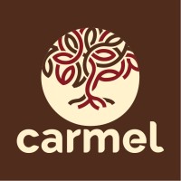 Carmel Indústria e Comércio de Sobremesas logo - Similar company to Grupo Sab