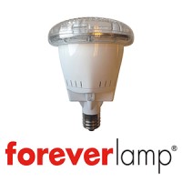 Foreverlamp, Inc. logo - Similar company to Ginter'S Full Service Auto