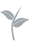 GreyShoots logo - Similar company to Blissapp.Io