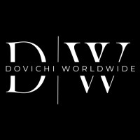 Dovichi Worldwide Technology Company Ltd. logo - Similar company to Dlho Solutions