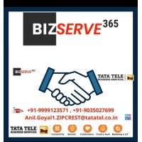 Bizserve365 logo - Similar company to Whitepapers