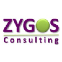 ZYGOS Consulting LLC logo - Similar company to Tech Accelerator