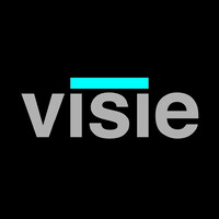Visie B.V. logo - Similar company to Volinn - Salaris-/Loonadministratie Van A Tot Z