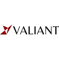 Valiant Capital Management logo - Similar company to Slate Path Capital Lp