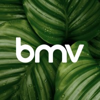 BMV Global logo - Similar company to Roboshop