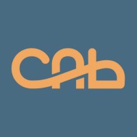 Central Asian Bridge logo - Similar company to Azurite Logistics