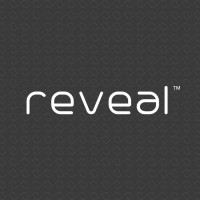 Reveal Lasers Balkan logo - Similar company to Beca Lasers