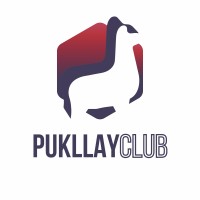 Pukllay Club logo - Similar company to Ralufineart