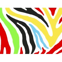 Zebra Veiligheid