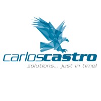 castrox logo - Similar company to Castro Strategy