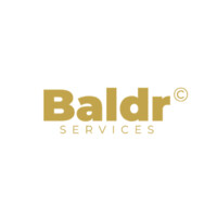 Baldr Services logo - Similar company to Baldrservices.Com