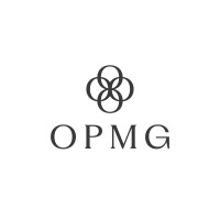 OPMG - BUILDING CONNECTIONS logo - Similar company to Styger Solutions