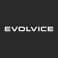 Evolvice GmbH logo - Similar company to Bluelink Solutions