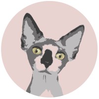 Pink Sphynx Media logo - Similar company to Rc Video Content