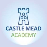 Castle Mead Academy logo - Similar company to Orchard Mead Academy
