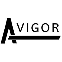 Avigor logo - Similar company to Adrenalina Marketing Online
