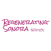 Regenerating Sonora logo - Similar company to Internal Alignment