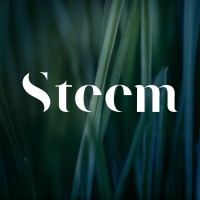 Steem Norge logo - Similar company to Sa-Pub
