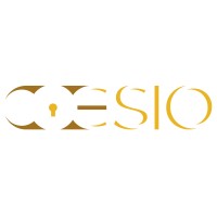Coesio logo - Similar company to Palamone Advisory Group