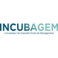 IncubaGEM logo - Similar company to Genius Gem
