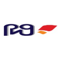 PNG Corporation logo - Similar company to Startup Kaist