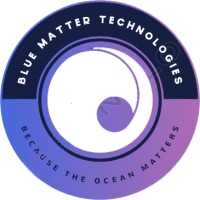 BLUE MATTER TECHNOLOGIES logo - Similar company to Dataflow Systems Limited