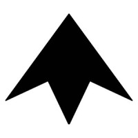 Brave Chicken logo - Similar company to Digital Trade Solutions