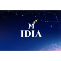 Institute for Digital InnovAtion logo - Similar company to Fiweb Era