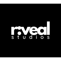 R:VEALSTUDIOS logo - Similar company to Lgger Analytics