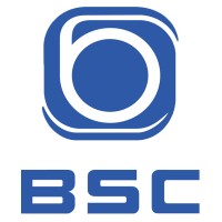 Baosi Compressor (Shanghai) Co., Ltd. logo - Similar company to Suzhou Ainewell Electrical Co.,Ltd
