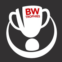 B.& W. DARTS & TROPHIES LIMITED logo - Similar company to Darts Group