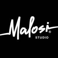 Malosi Studio logo - Similar company to Zeek Studios