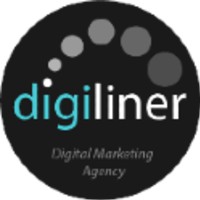 Digiliner logo - Similar company to The Nerd Solutions