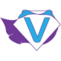 Vivacity Coaching & Consulting logo - Similar company to Tekmatix