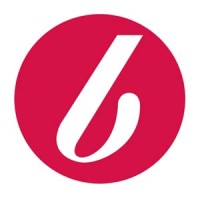brandis logo - Similar company to Xerve