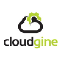 Cloudgine logo - Similar company to Cloudgin