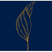 Midas Capital Partners logo - Similar company to Corbyn & Young