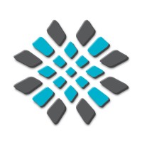 NUMIKON Consulting FZ-LLC logo - Similar company to Numikon Programska Rješenja I Oprema D.O.O.