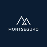 Montseguro Corretora logo - Similar company to Nine Solutions