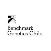 Benchmark Genetics Chile