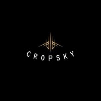 CropSky logo - Similar company to G5Infotech