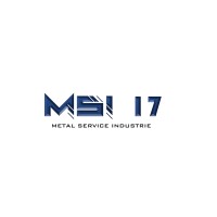 MSI 17 (Métal Service Industrie) logo - Similar company to See Roth