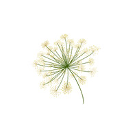 Dill - Valhall Pte Ltd logo - Similar company to Skyttel As